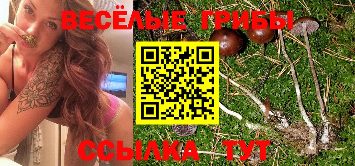 как найти закладки  Псилоцибиновые грибы Cubensis  Вход с VPN  Кстово  Псилоцибиновые грибы мухоморы 