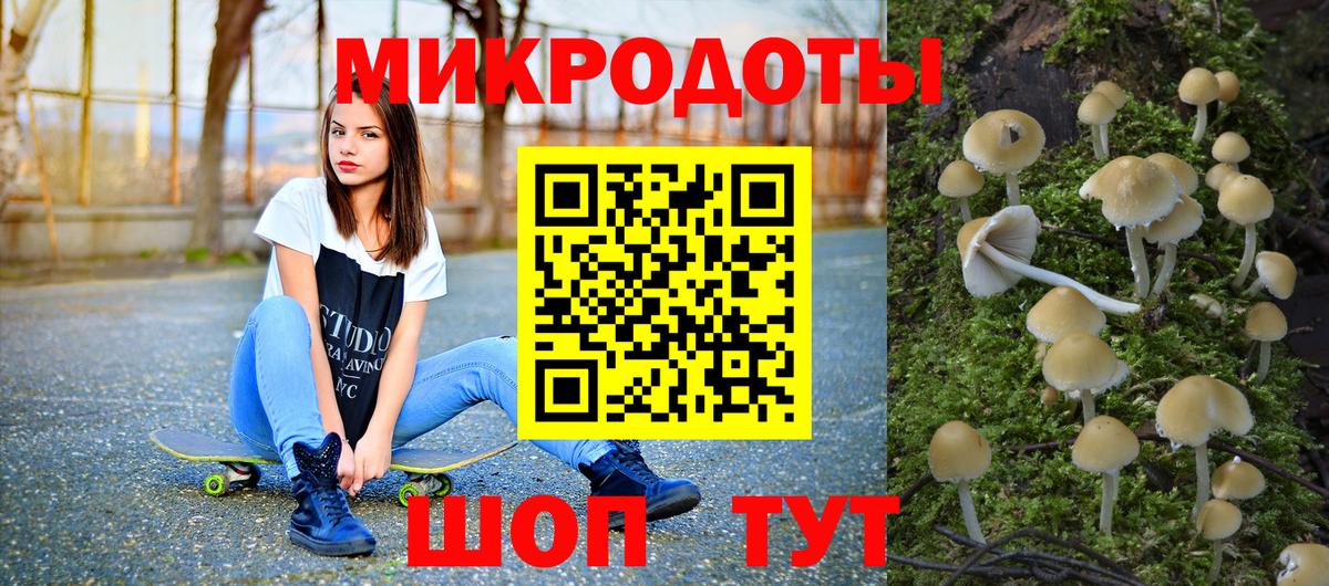 Псилоцибиновые грибы Cubensis Кстово